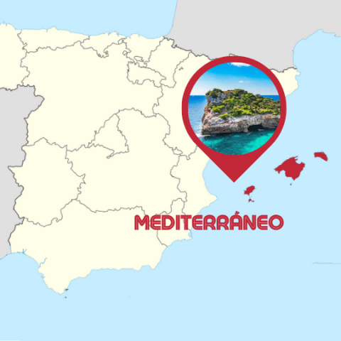 CCSEfacil culture picture