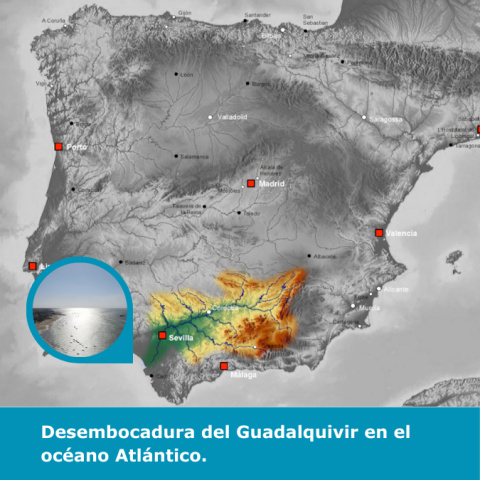 CCSEfacil culture picture